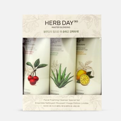 Herb Day 365 Master Blending Facial Foaming Cleanser Special Set