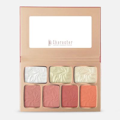 باليت الهايلايتر وأحمر الخدود ذا فايس دايري