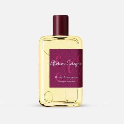 Rose Anonyme Absolue Cologne