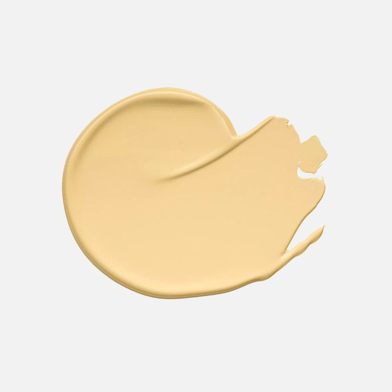 Liquid Camouflage High Coverage Concealer