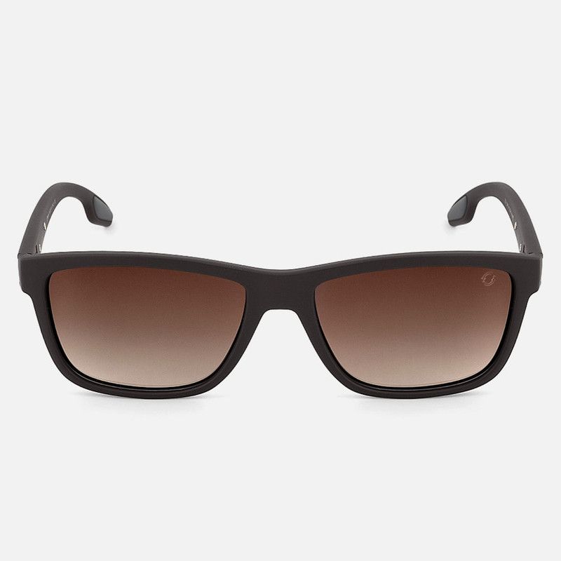 Wayfarer Gradient Brown Lens and Brown Frame Sunglasses