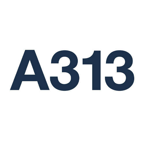 A313